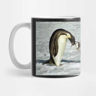 Emperor Penguin Feeding Chick, Antarctica Mug